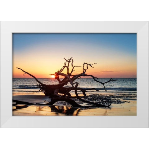 Jekyll Island Sunrise III White Modern Wood Framed Art Print by Hausenflock, Alan