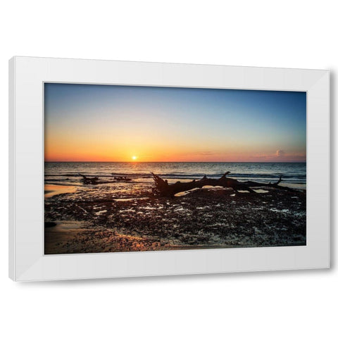 Jekyll Island Sunrise IV White Modern Wood Framed Art Print by Hausenflock, Alan