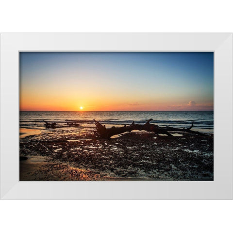 Jekyll Island Sunrise IV White Modern Wood Framed Art Print by Hausenflock, Alan