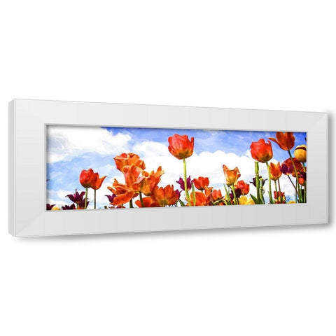 Tulips in the Sun I White Modern Wood Framed Art Print by Hausenflock, Alan