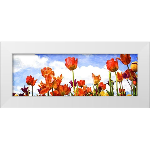 Tulips in the Sun I White Modern Wood Framed Art Print by Hausenflock, Alan