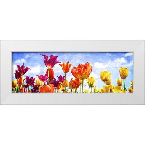 Tulips in the Sun II White Modern Wood Framed Art Print by Hausenflock, Alan