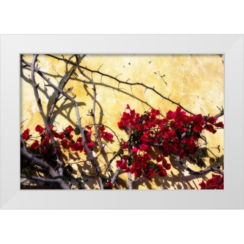 Flowers of Carmel I White Modern Wood Framed Art Print by Hausenflock, Alan