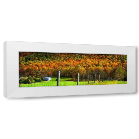 Autumn Splendor I White Modern Wood Framed Art Print by Hausenflock, Alan