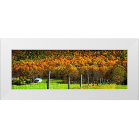 Autumn Splendor I White Modern Wood Framed Art Print by Hausenflock, Alan