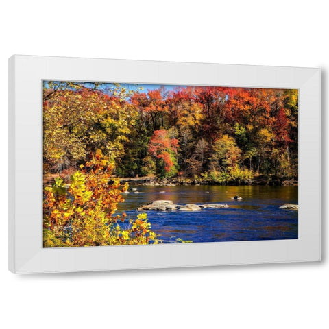 Autumn by the River I White Modern Wood Framed Art Print by Hausenflock, Alan