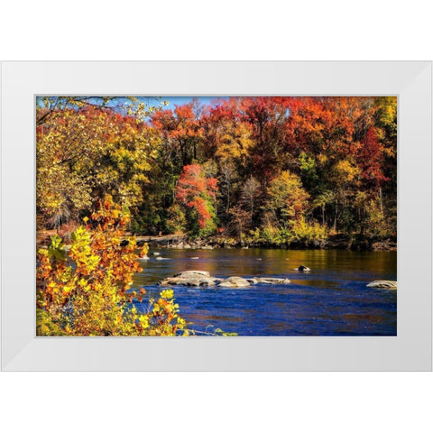 Autumn by the River I White Modern Wood Framed Art Print by Hausenflock, Alan