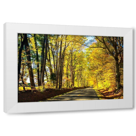 Trees of Gold and Green I White Modern Wood Framed Art Print by Hausenflock, Alan
