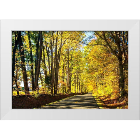 Trees of Gold and Green I White Modern Wood Framed Art Print by Hausenflock, Alan