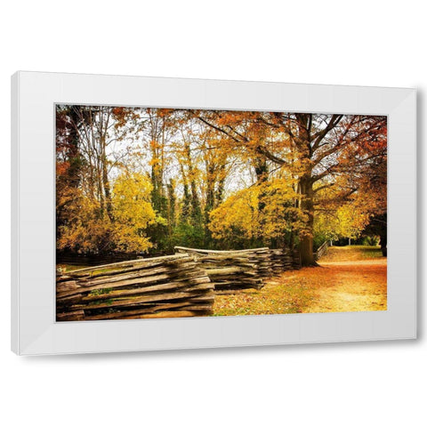 Late Fall Day I White Modern Wood Framed Art Print by Hausenflock, Alan