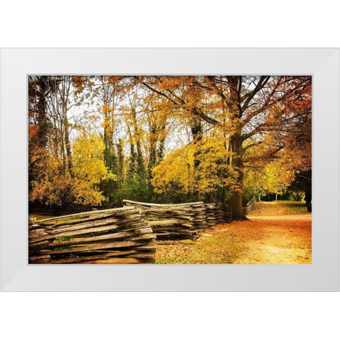 Late Fall Day I White Modern Wood Framed Art Print by Hausenflock, Alan