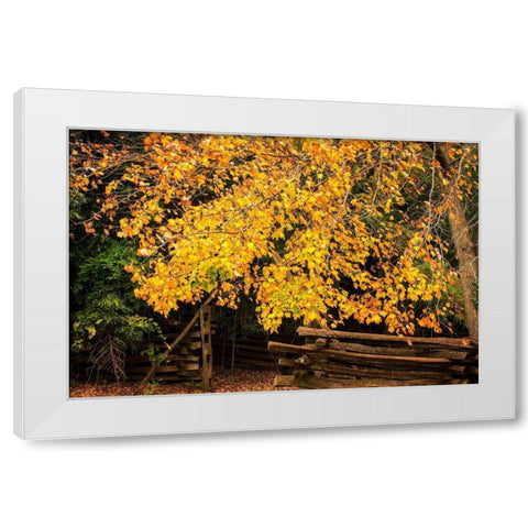 Late Fall Day II White Modern Wood Framed Art Print by Hausenflock, Alan