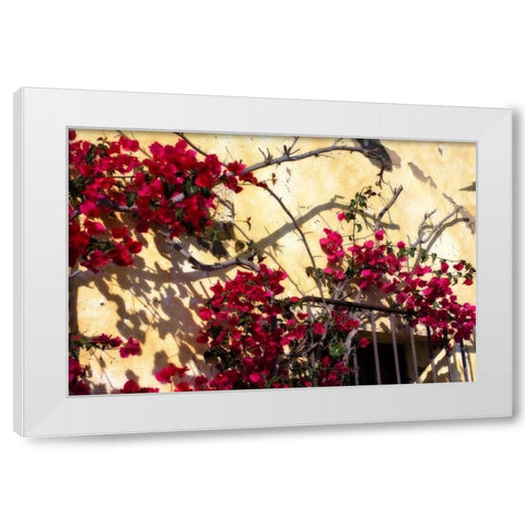 Flowers of Carmel II White Modern Wood Framed Art Print by Hausenflock, Alan