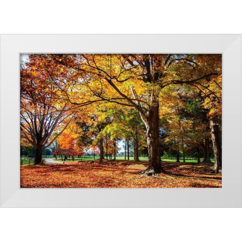 Autumn on the Plantation I White Modern Wood Framed Art Print by Hausenflock, Alan