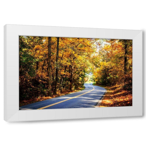 Walnut Grove Road I White Modern Wood Framed Art Print by Hausenflock, Alan