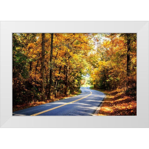 Walnut Grove Road I White Modern Wood Framed Art Print by Hausenflock, Alan