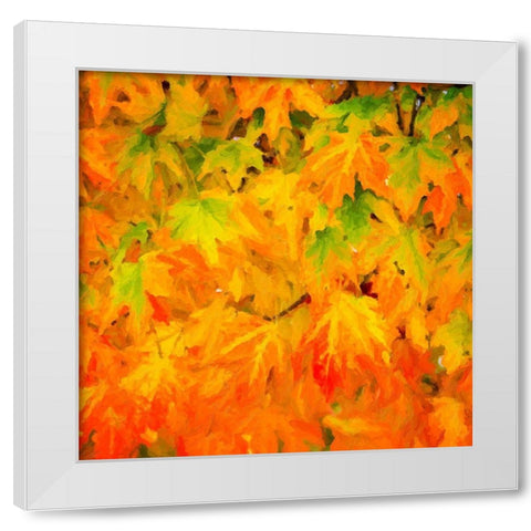 Autumn Leaves I White Modern Wood Framed Art Print by Hausenflock, Alan