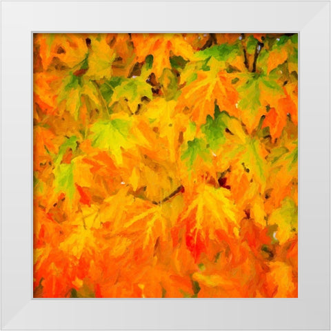 Autumn Leaves I White Modern Wood Framed Art Print by Hausenflock, Alan