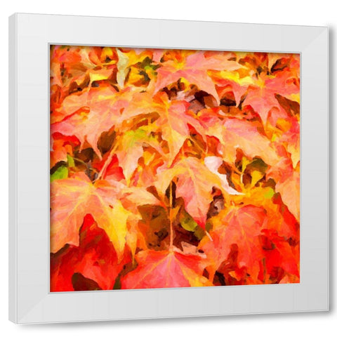 Autumn Leaves II White Modern Wood Framed Art Print by Hausenflock, Alan