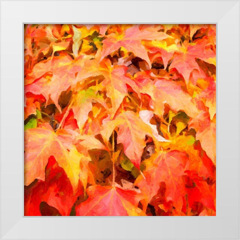 Autumn Leaves II White Modern Wood Framed Art Print by Hausenflock, Alan