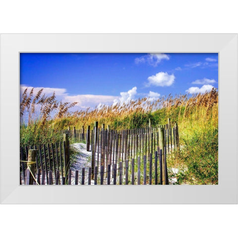 Summer at the Beach II White Modern Wood Framed Art Print by Hausenflock, Alan