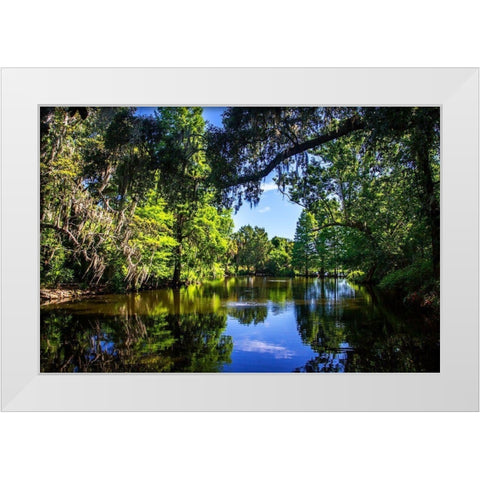 Draytons Pond White Modern Wood Framed Art Print by Hausenflock, Alan