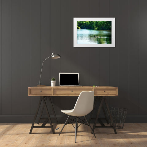 Walkerton Mill Pond White Modern Wood Framed Art Print by Hausenflock, Alan