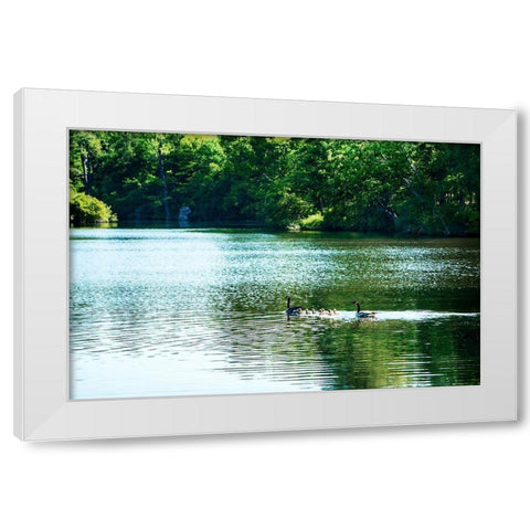 Walkerton Mill Pond White Modern Wood Framed Art Print by Hausenflock, Alan