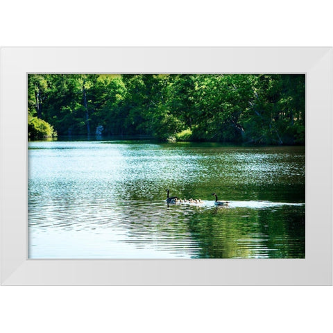 Walkerton Mill Pond White Modern Wood Framed Art Print by Hausenflock, Alan