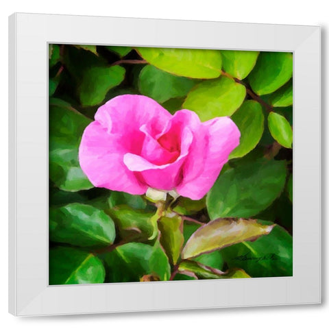 A Single Rose IV White Modern Wood Framed Art Print by Hausenflock, Alan