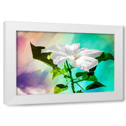 Summer Flower White Modern Wood Framed Art Print by Hausenflock, Alan