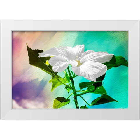 Summer Flower White Modern Wood Framed Art Print by Hausenflock, Alan
