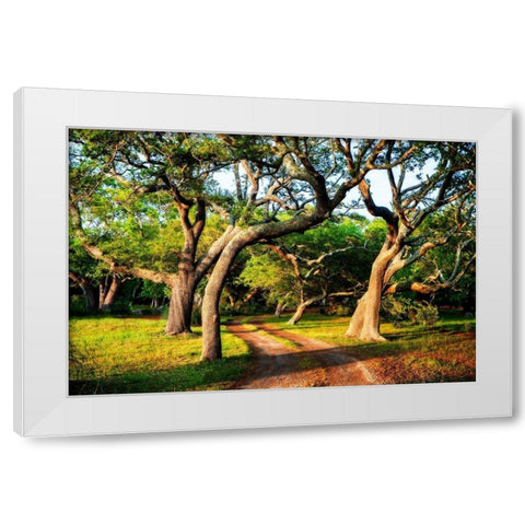 Lenoxville Point I White Modern Wood Framed Art Print by Hausenflock, Alan