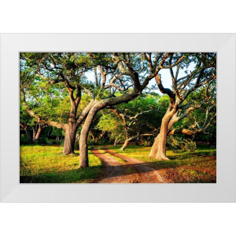 Lenoxville Point I White Modern Wood Framed Art Print by Hausenflock, Alan