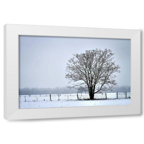 Snowbound I White Modern Wood Framed Art Print by Hausenflock, Alan