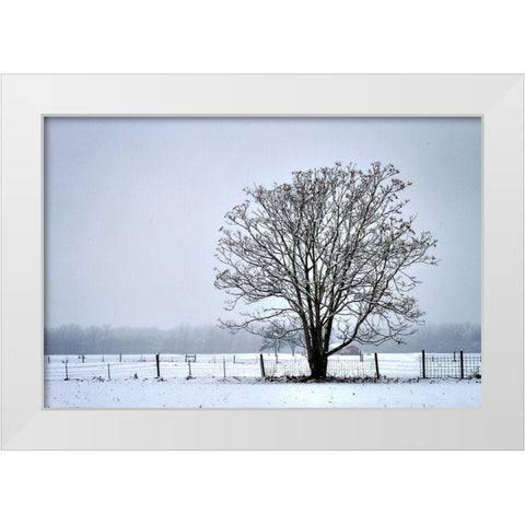 Snowbound I White Modern Wood Framed Art Print by Hausenflock, Alan