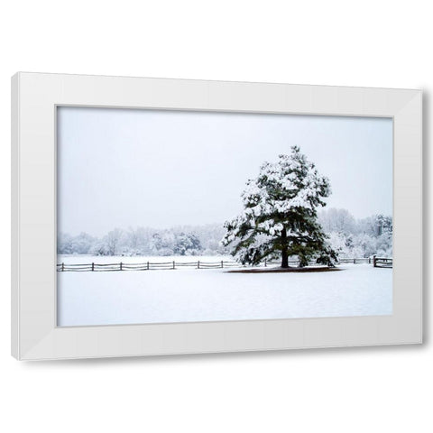 Snowy Sentinel White Modern Wood Framed Art Print by Hausenflock, Alan