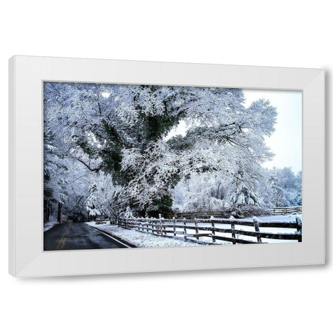 Rural Point Road White Modern Wood Framed Art Print by Hausenflock, Alan