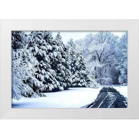 Bellswood Road White Modern Wood Framed Art Print by Hausenflock, Alan