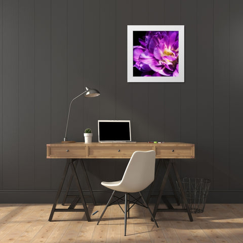 Purple Petals White Modern Wood Framed Art Print by Hausenflock, Alan