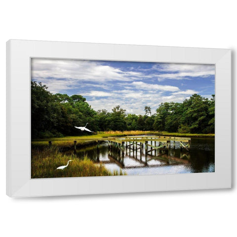 Egret on the Wing White Modern Wood Framed Art Print by Hausenflock, Alan