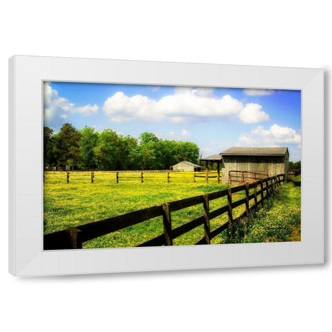 Spring on the Ranch White Modern Wood Framed Art Print by Hausenflock, Alan