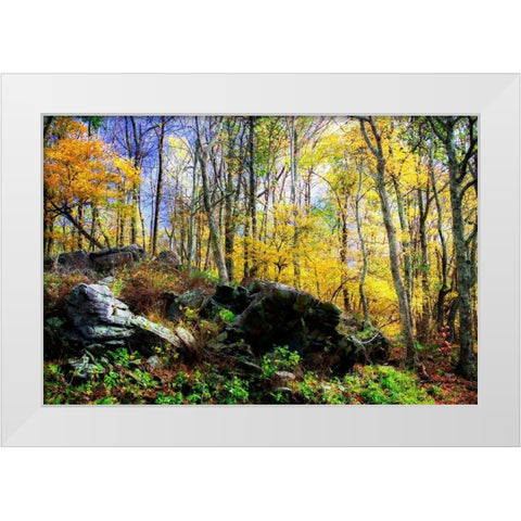 Turning Seasons White Modern Wood Framed Art Print by Hausenflock, Alan