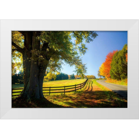 A Virginia Byway White Modern Wood Framed Art Print by Hausenflock, Alan