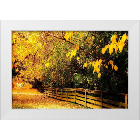 Autumns End White Modern Wood Framed Art Print by Hausenflock, Alan