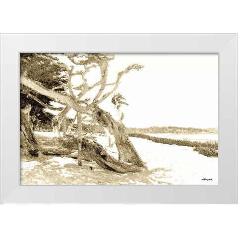 Carmel Beach II White Modern Wood Framed Art Print by Hausenflock, Alan