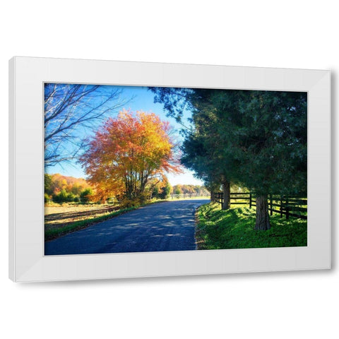 The Road Home II White Modern Wood Framed Art Print by Hausenflock, Alan