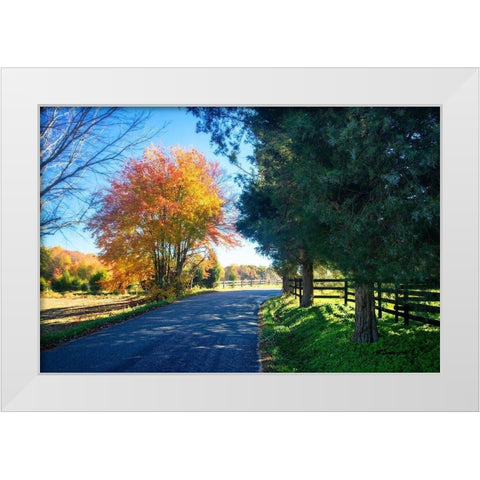 The Road Home II White Modern Wood Framed Art Print by Hausenflock, Alan