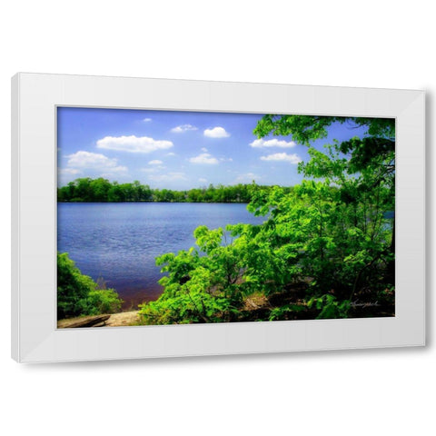 Swift Creek Lake White Modern Wood Framed Art Print by Hausenflock, Alan