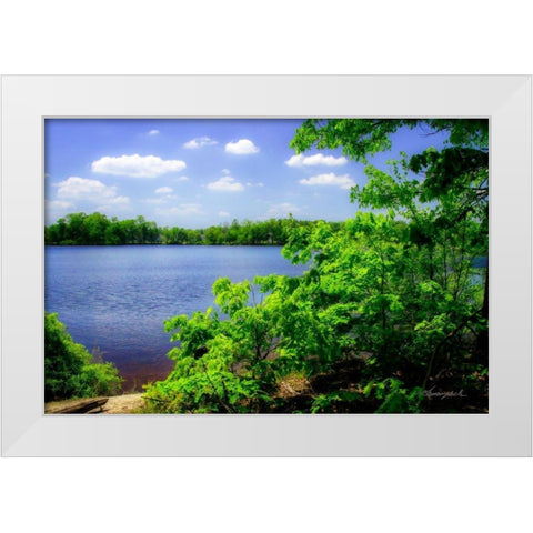 Swift Creek Lake White Modern Wood Framed Art Print by Hausenflock, Alan